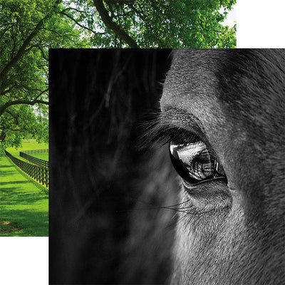 scrapbook paper featuring a black and white close-up photographic image of a horse's face shown overlapping a photographic scene of a green field with fences.