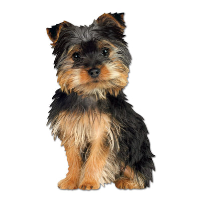 shaped note card featuring a photographic image of a silky terrier puppy.