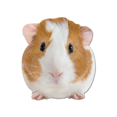 shaped note card featuring a photographic image of a guinea pig.