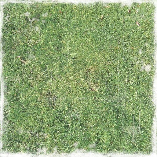 grass double sided paper
