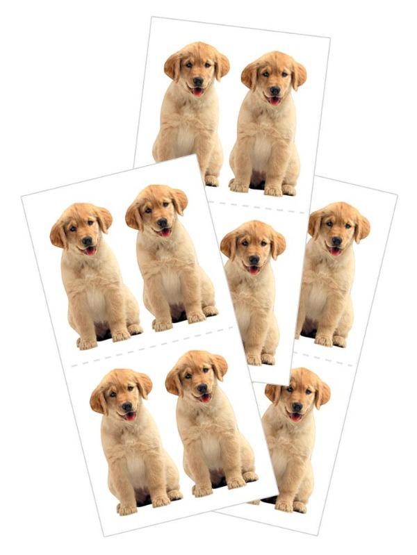 3 sheets of stickers featuring photo real golden retriever puppies on white background.