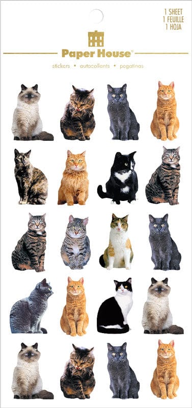 scrapbook stickers featuring an assortment of photo real mini cats shown in package.