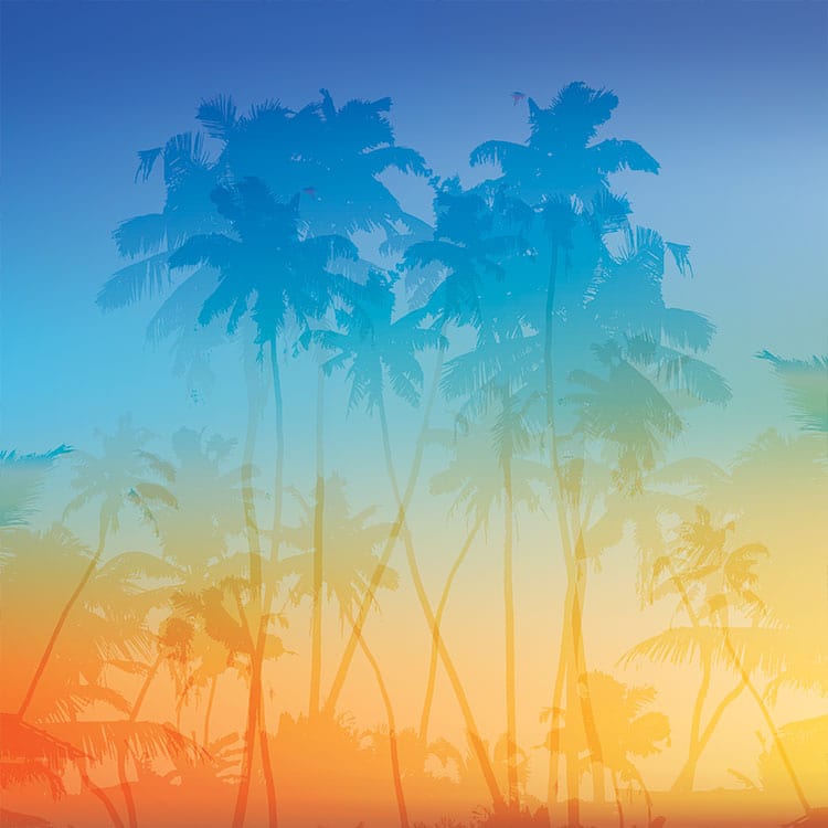 scrapbook paper featuring silhouetted palm trees against a blue, yellow and orange background.