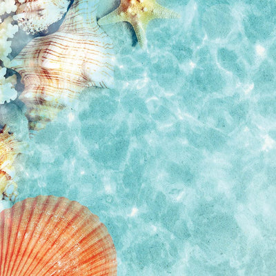 scrapbook paper featuring a photographic close up image of shells and coral under water