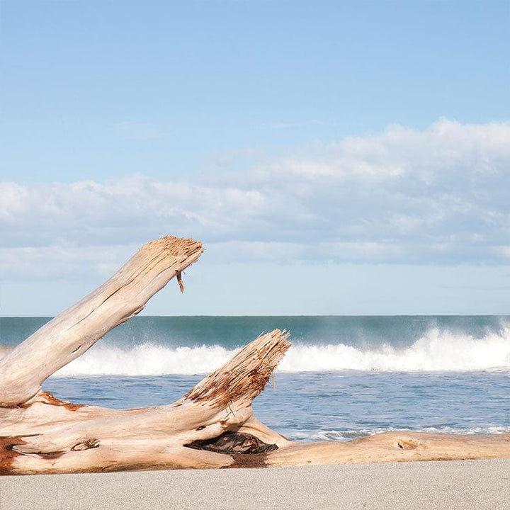 scrapbook paper featuring a photographic image of driftwood on the beach.
