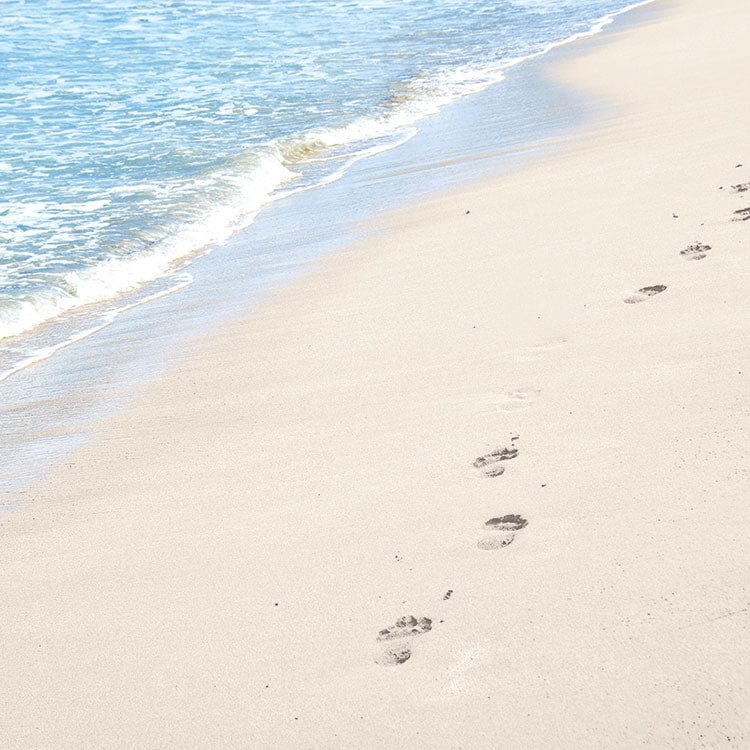 scrapbook paper featuring a photographic image of footprints in the sand along the coast.