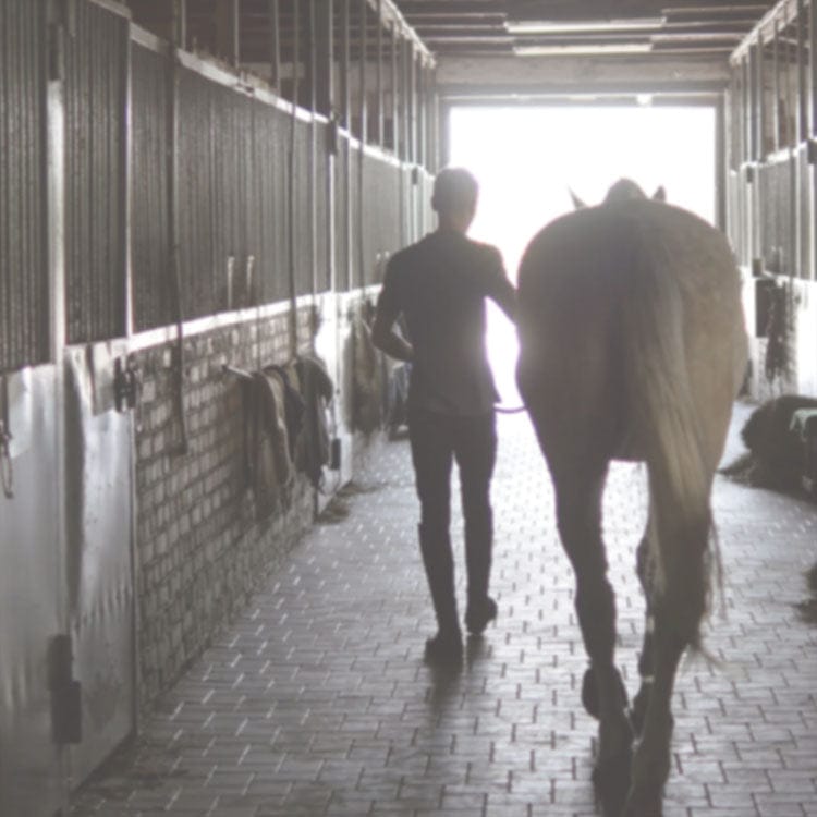 scrapbook paper featuring a black and white photographic image of a person leading a horse out of the stable.