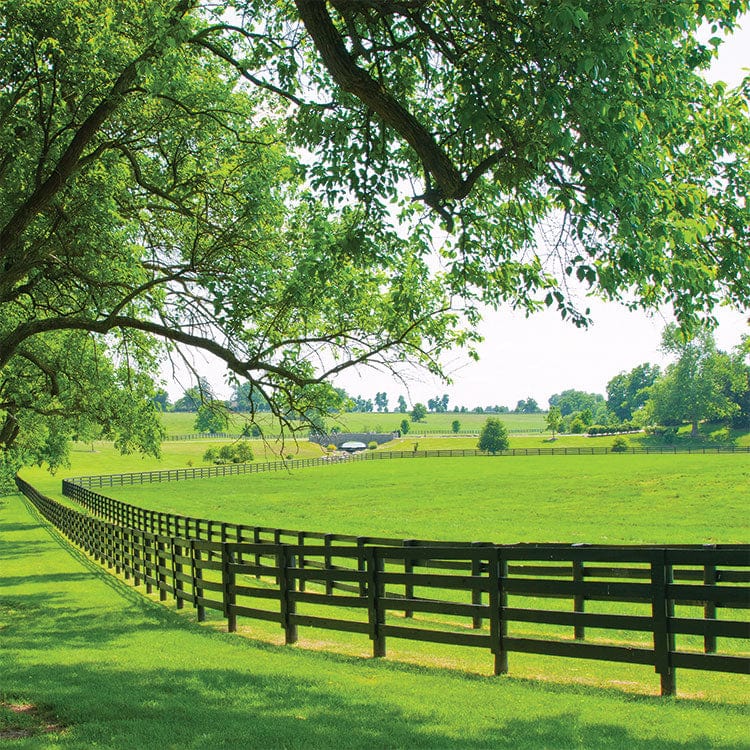 scrapbook paper featuring a photographic image of a green field with trees and a large meandering fence.