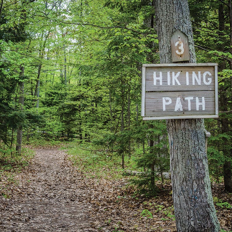 scrapbook paper featuring a photographic image of a tree in a green leafy forest with a Hiking Path sign attached to it.