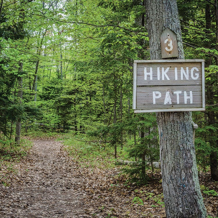 scrapbook paper featuring a photographic image of a tree in a green leafy forest with a Hiking Path sign attached to it.