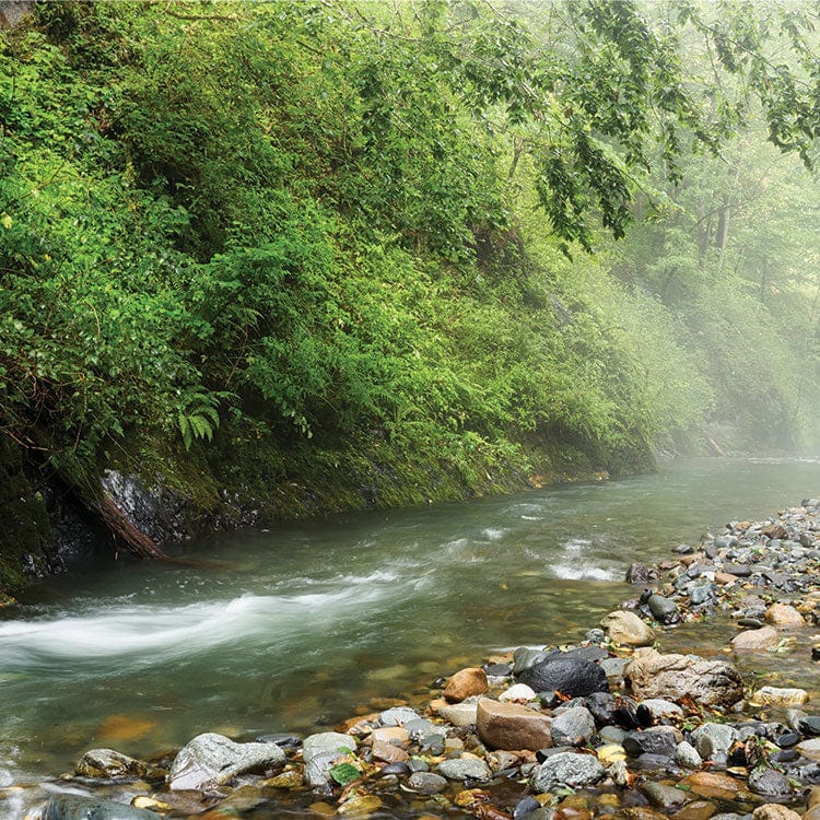 scrapbook paper featuring a photographic image of a rushing stream between a rocky shore and green trees