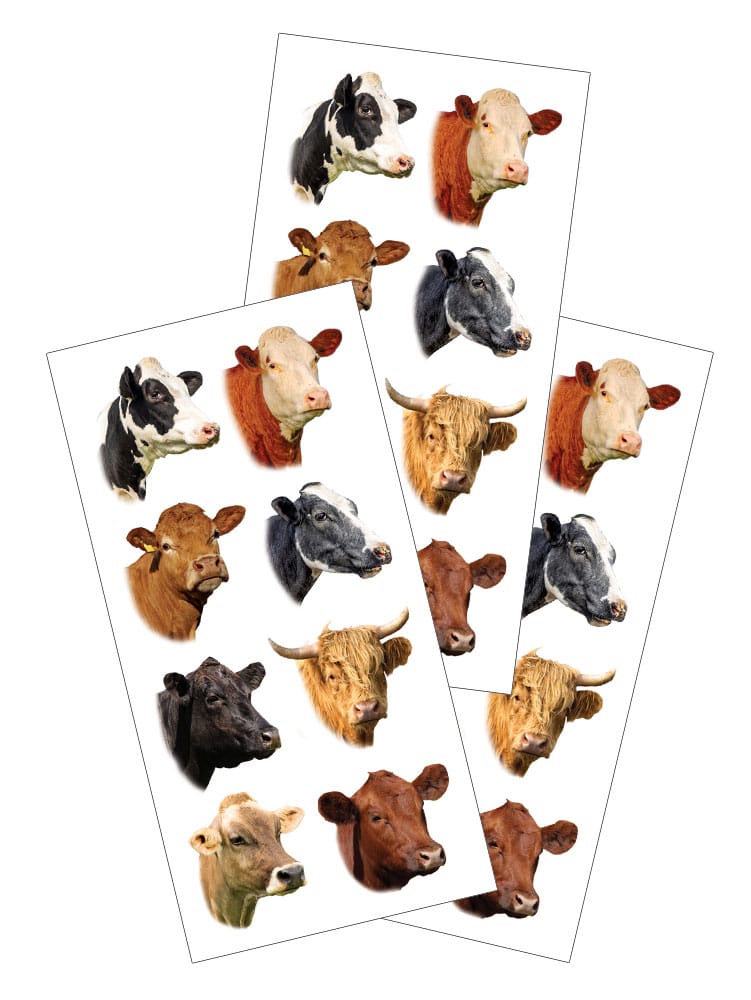 Decorative Stickers - Cows