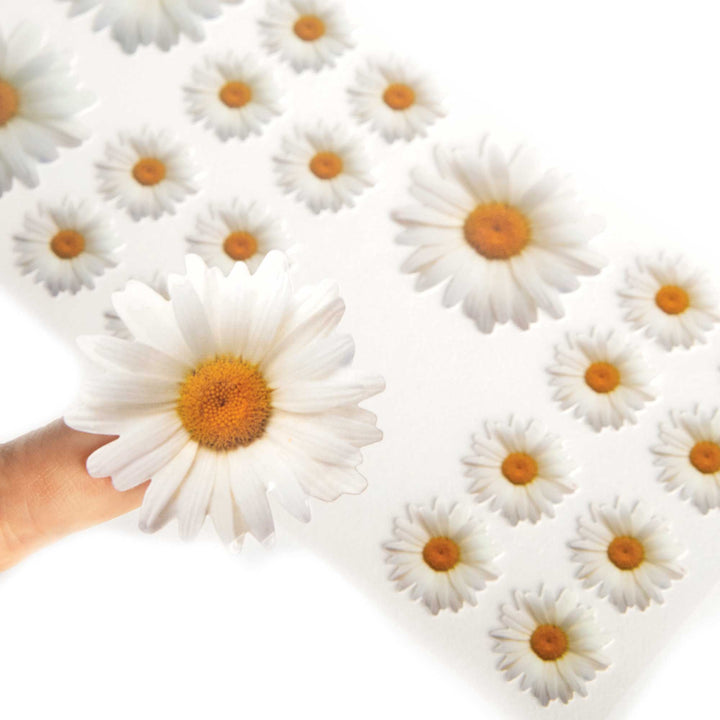 Decorative Stickers - Oxeye Daisy