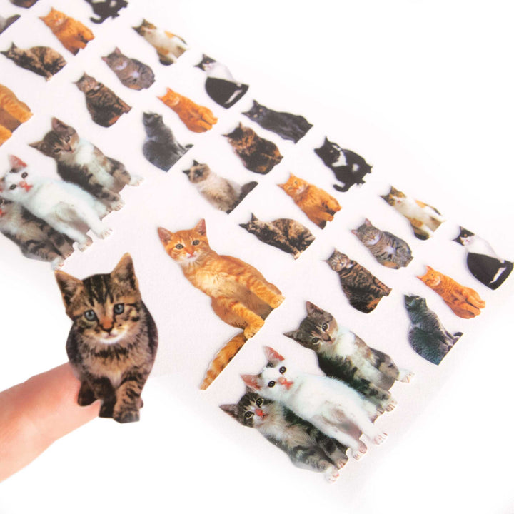 Decorative Stickers - Cats