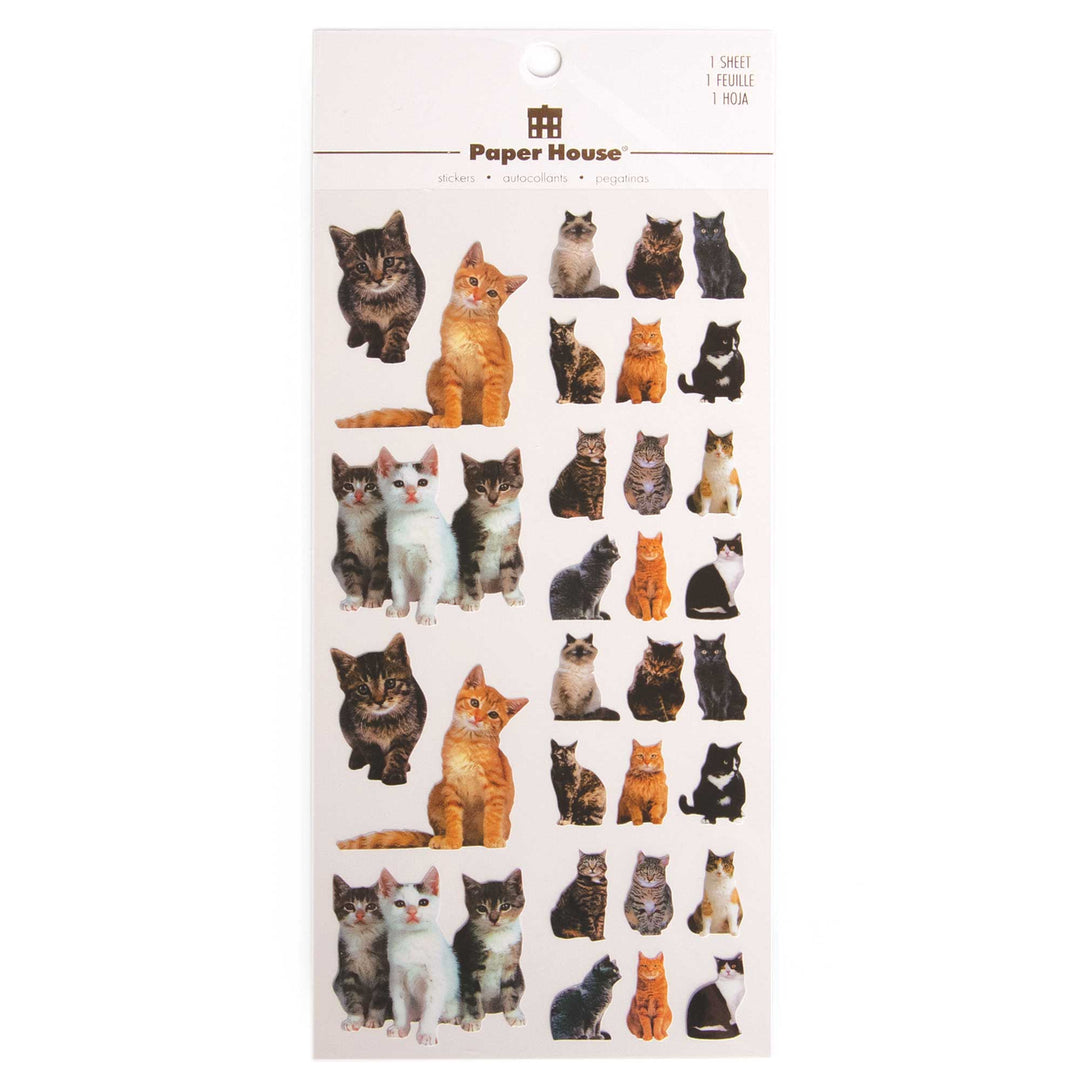 Decorative Stickers - Cats