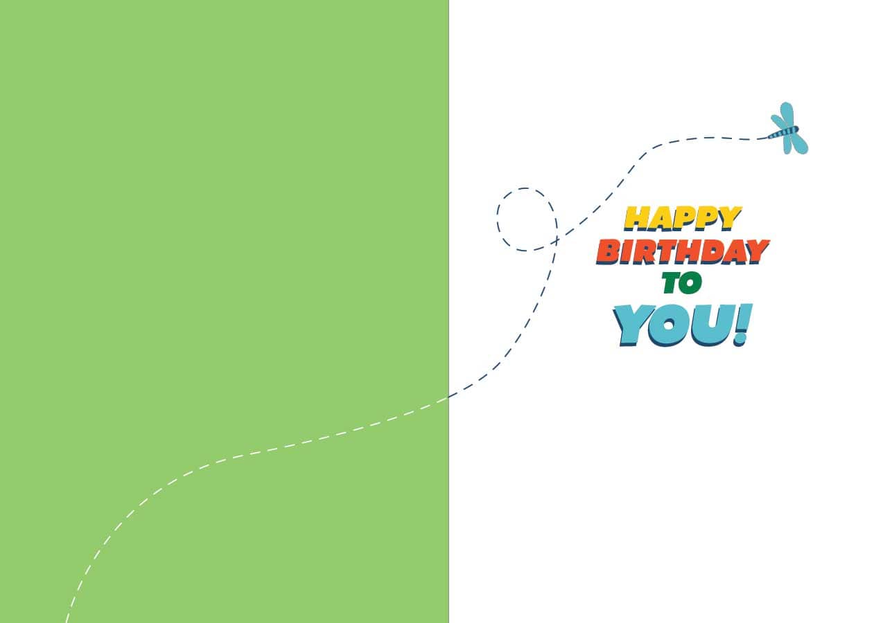 CF-7080E - 2nd Birthday Chameleon Foil Card - Birthday greeting card featuring a dragonfly trail and colorful "Happy Birthday to You!" text on white and green background