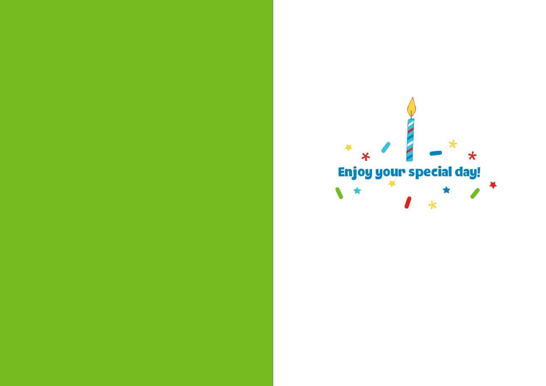 CF-7099E - Iguana Birthday - Foil Card - Birthday greeting card with bright green left panel and white right panel featuring colorful candle, confetti, and "Enjoy your special day!" text