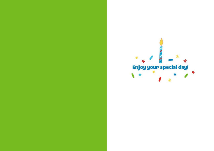 CF-7099E - Iguana Birthday - Foil Card - Birthday greeting card with bright green left panel and white right panel featuring colorful candle, confetti, and "Enjoy your special day!" text