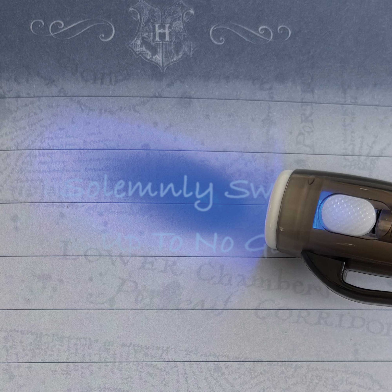 DRY-1000E - Locking Diary - Harry Potter Invisible Ink - Invisible ink pen revealing hidden text on a lined diary page with Hogwarts crest and decorative flourishes