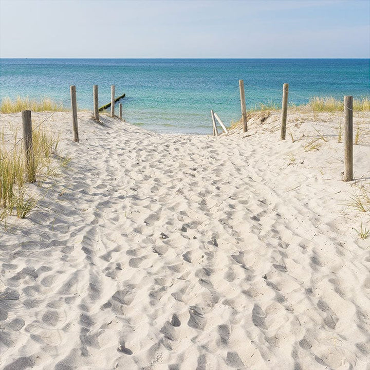 scrapbook paper featuring a photographic beach scene of footprints on a path leading to a beach.