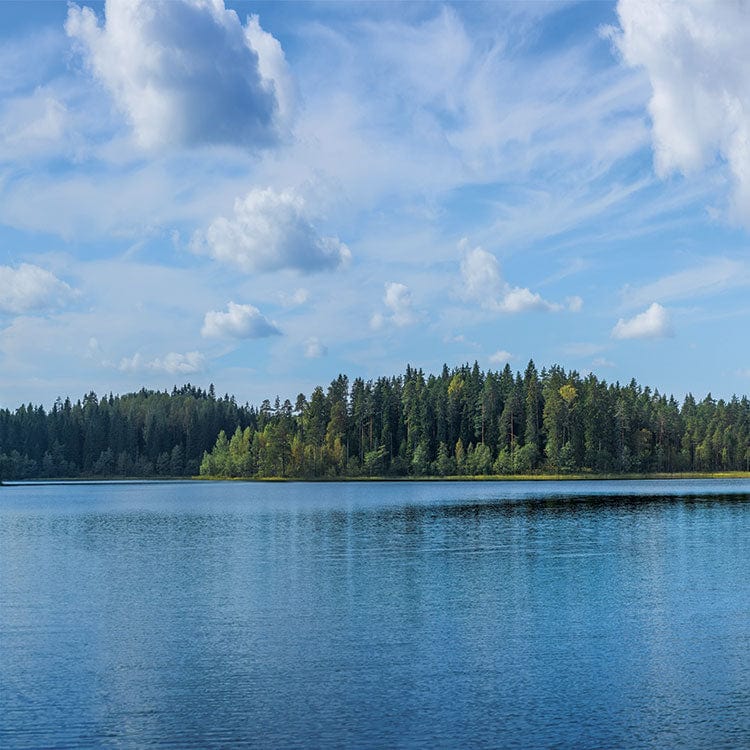 scrapbook paper featuring a photographic image of a lake with evergreens on the horizon with a blue sky and clouds.