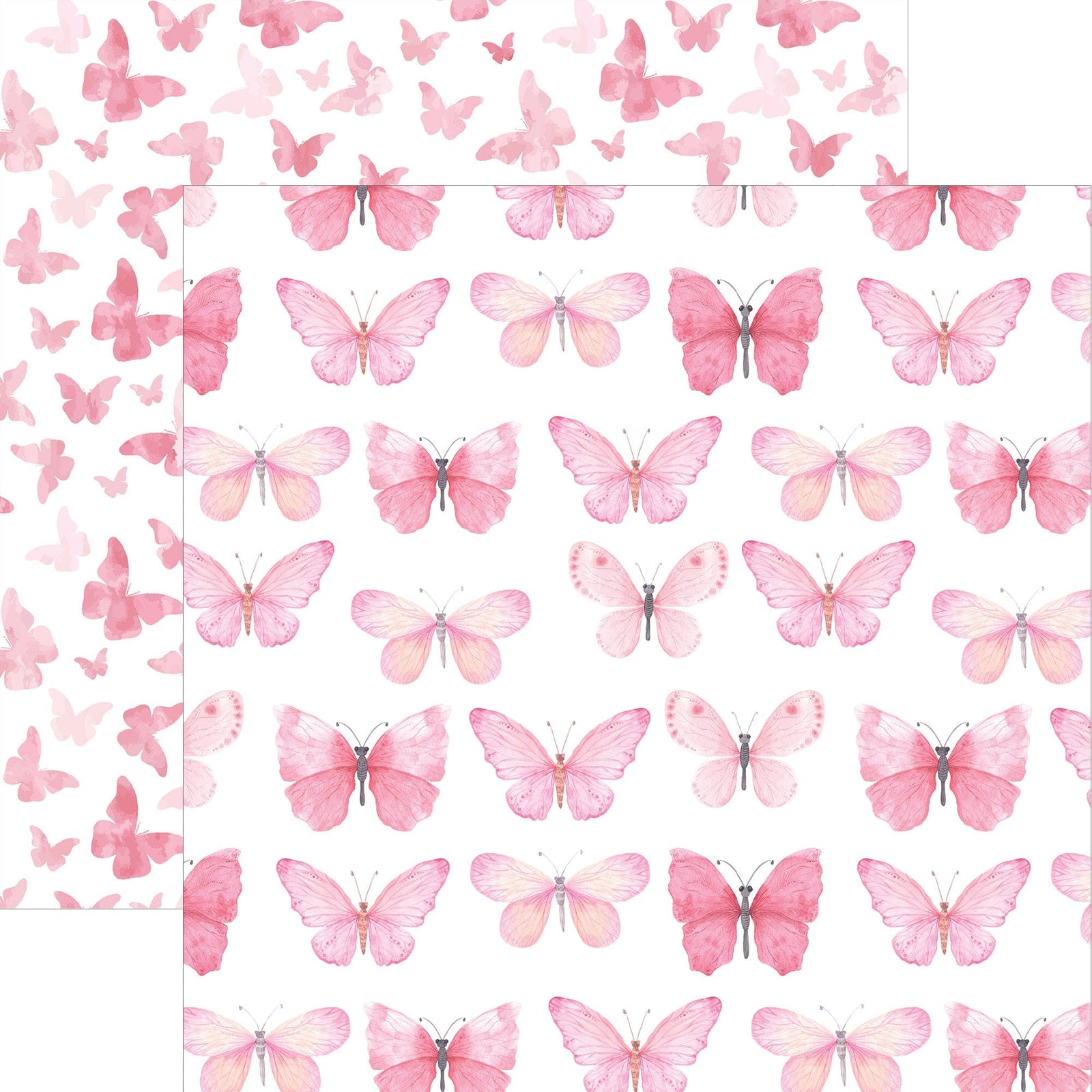 P-2354E - Pink Watercolor Butterflies 12 x 12 Paper - Pink watercolor butterflies in varying shades arranged in rows on white background with scattered butterfly pattern on left side