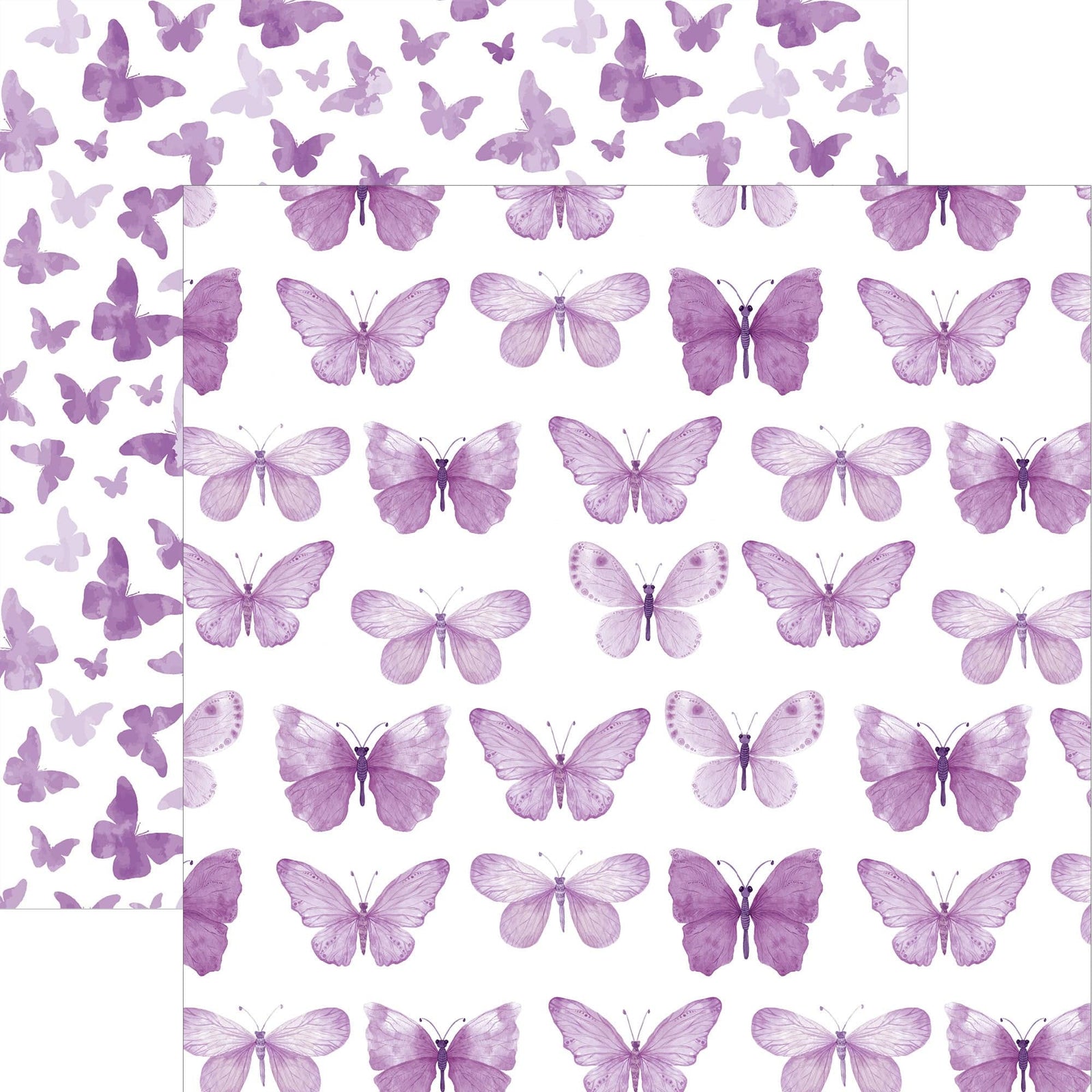 P-2355E - Purple Watercolor Butterflies 12 x 12 Paper - Purple watercolor butterflies in varying sizes and shades arranged in rows on white background