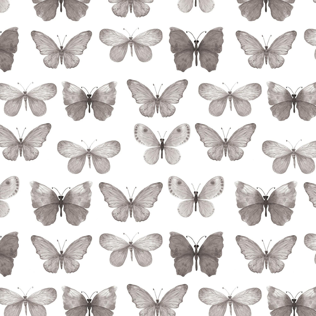 P-2356E - Black Watercolor Butterflies 12 x 12 Paper - Seamless pattern of gray and taupe watercolor butterflies in various poses on white background