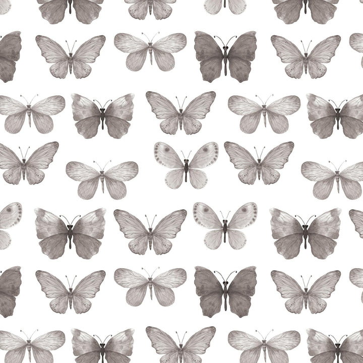 P-2356E - Black Watercolor Butterflies 12 x 12 Paper - Seamless pattern of gray and taupe watercolor butterflies in various poses on white background