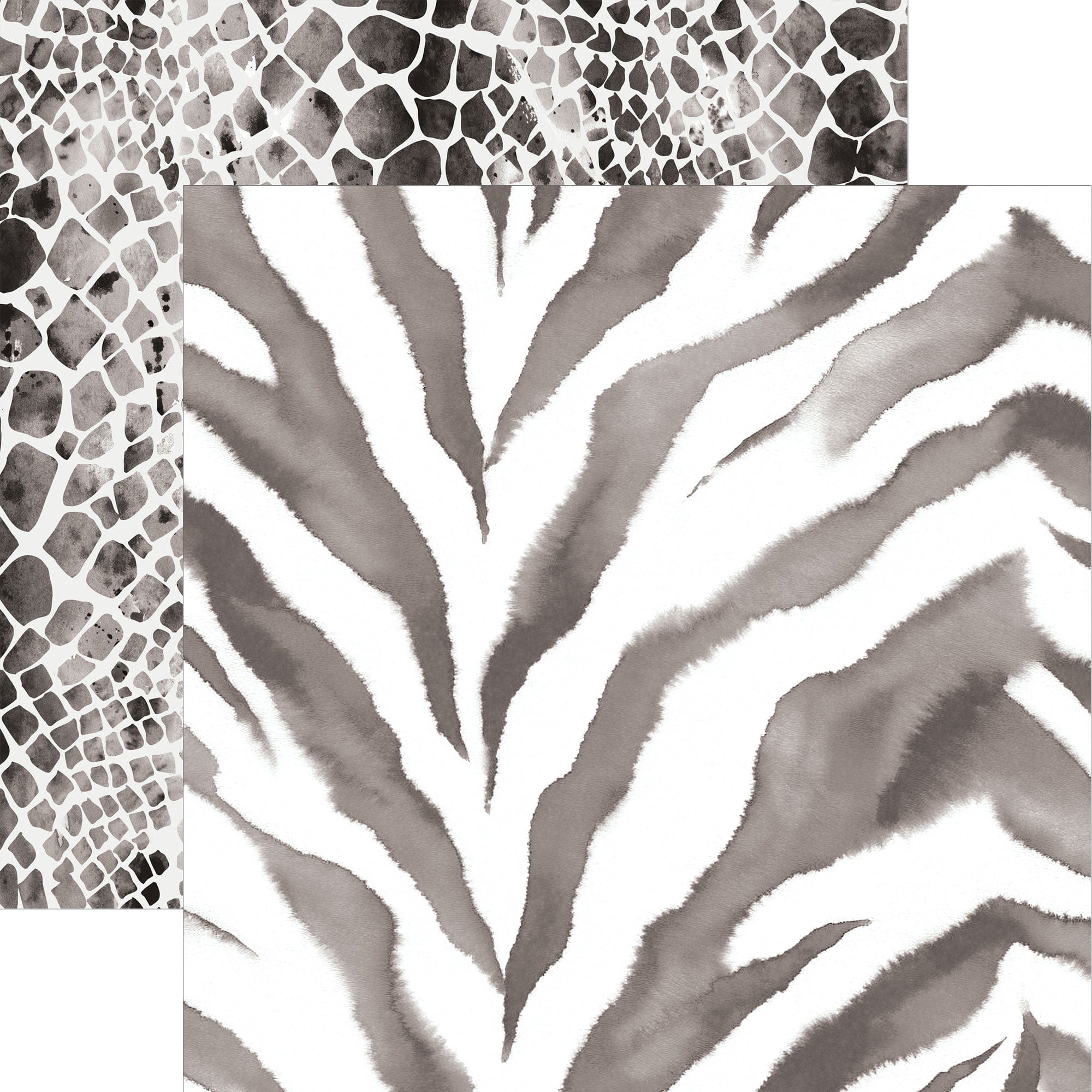 Black Watercolor Zebra & Python Print 12 x 12 Paper – Paper House ...