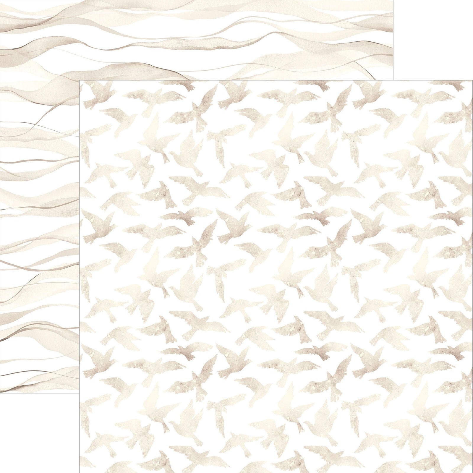 P-2396E - Ivory Watercolor Birds 12 x 12 Scrapbook Paper - Cream and beige watercolor birds scattered across white background with wavy line border design