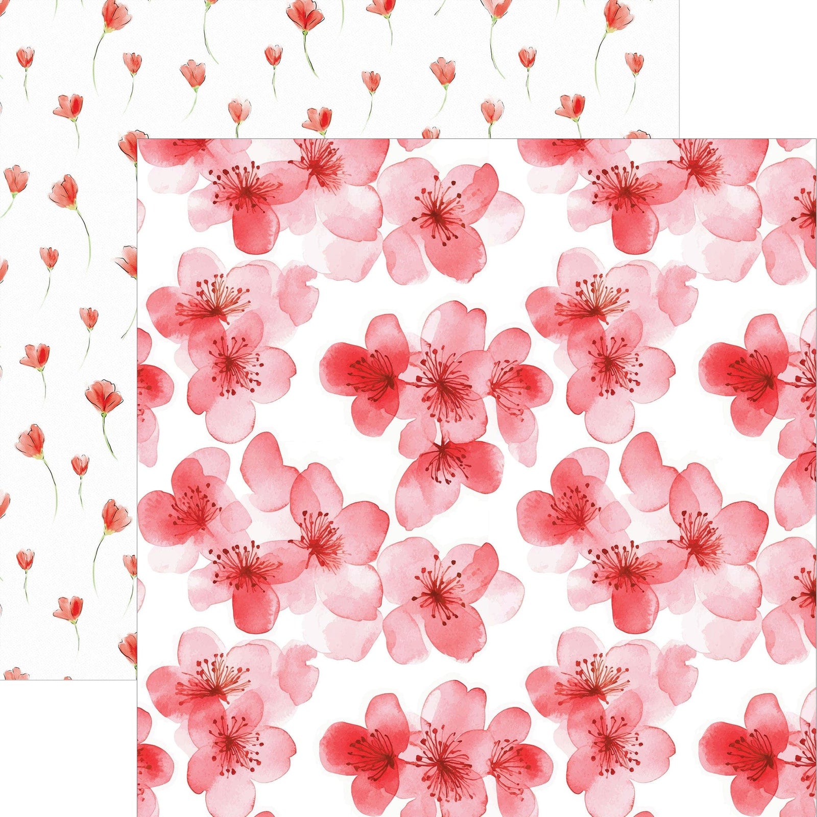 P-2402E - Red Watercolor Floral 2 12 x 12 Scrapbook Paper - Two watercolor floral patterns: small red tulips on white background and larger pink blossoms with red centers arranged in a repeating design