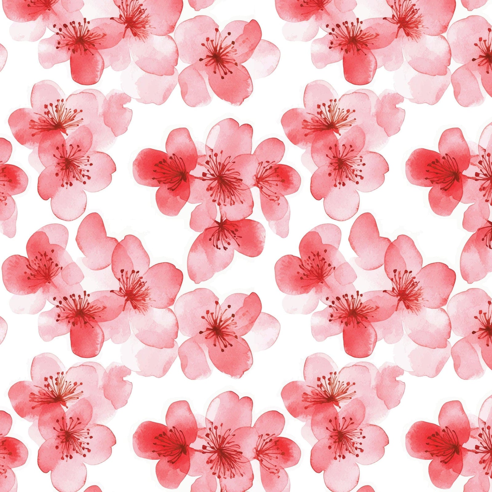 P-2402E - Red Watercolor Floral 2 12 x 12 Scrapbook Paper - Seamless pattern of red and pink watercolor flowers with delicate petals and stamens on white background