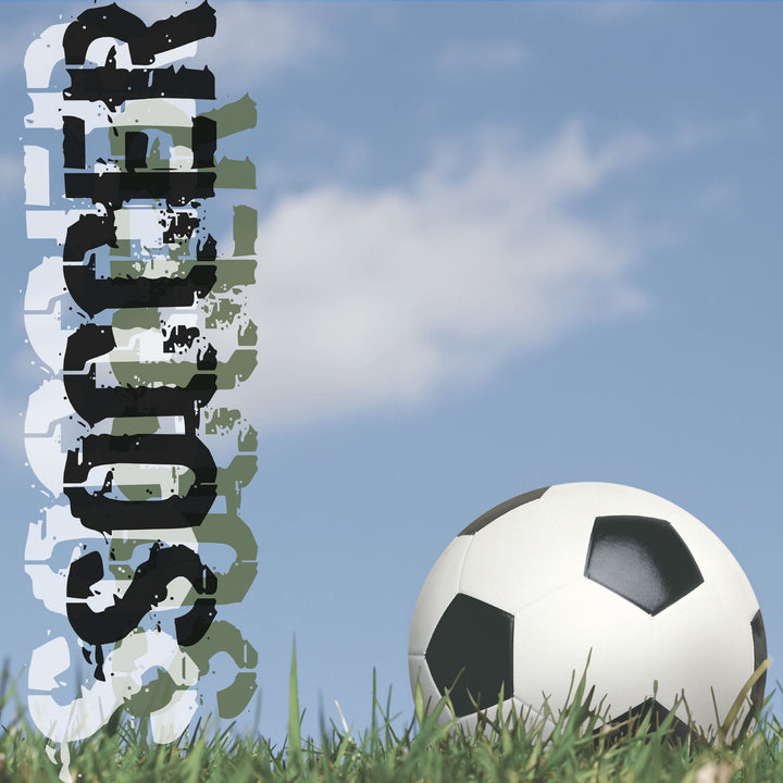 P-2417E - Soccer 12 x 12 Scrapbook Paper - White and black soccer ball on grass with blue sky and vertical soccer-themed silhouettes in black and green