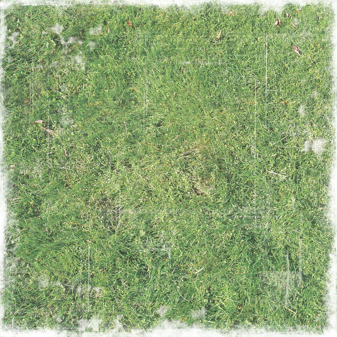 P-2417E - Soccer 12 x 12 Scrapbook Paper - Green grass texture with white distressed border on square scrapbook paper