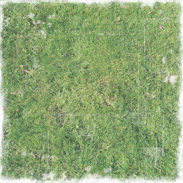 P-2417E - Soccer 12 x 12 Scrapbook Paper - Green grass texture with white distressed border on square scrapbook paper