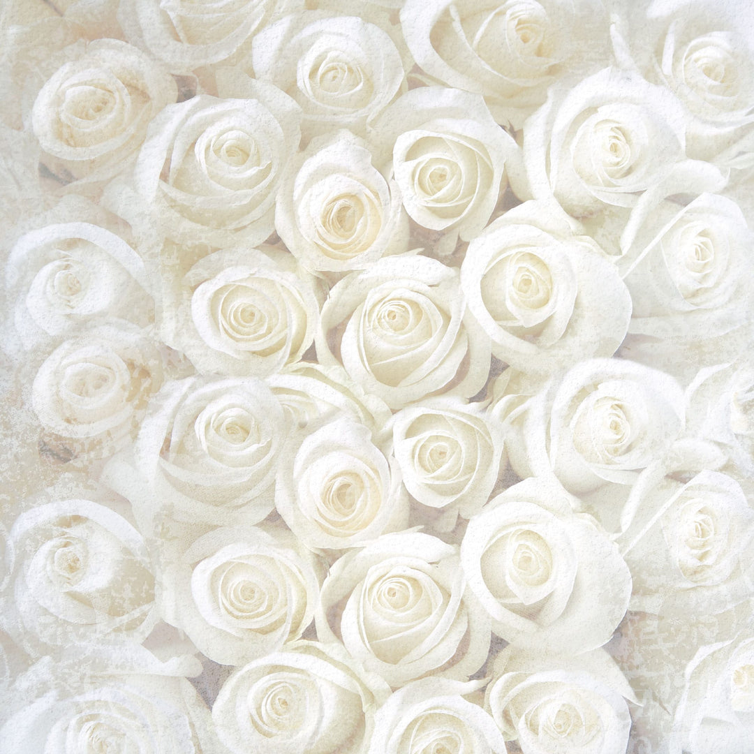 P-2418E - Wedding Tags 12 x 12 Scrapbook Paper - Cream and white roses densely packed in a full-coverage floral pattern with soft, romantic aesthetic