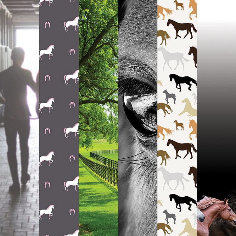 PSET-0014E - Horse 12 x 12 Scrapbook Paper Set - Six vertical strips showcasing equestrian-themed patterns including horses, horseshoes, pastoral landscapes, and horse portraits in various colors
