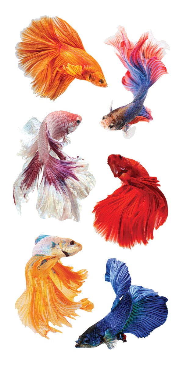 ST-2428E - Decorative Stickers - Betta Fish - Collection of eight colorful betta fish stickers featuring flowing fins in vibrant hues of orange, red, pink, blue, and yellow on white background