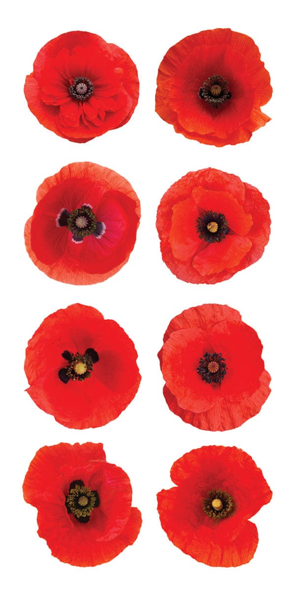 ST-2429E - Decorative Stickers - Red Poppies - Eight red poppy flowers arranged in a grid, each with dark centers and delicate petals in varying orientations