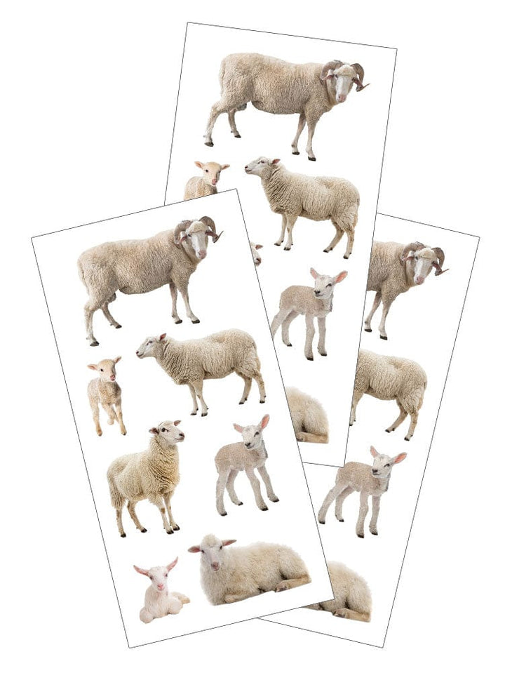 ST-2444E - Decorative Stickers - Sheep - Three sheets of decorative stickers featuring various sheep in different poses and sizes, shown in cream and white tones