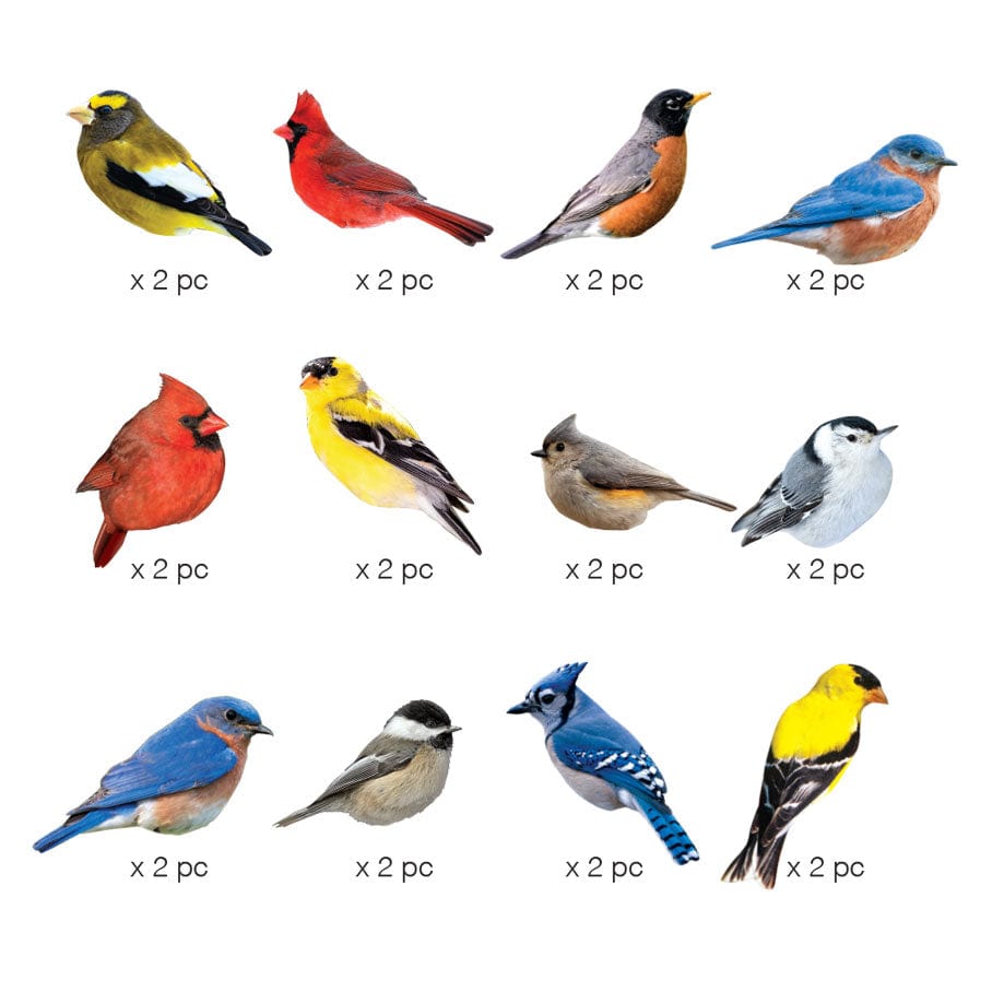 STDC-3016E - Die Cut Scrapbook Sticker Pack - Birds - Twelve colorful bird stickers in various species, each labeled "x 2 pc," arranged in three rows on a white background
