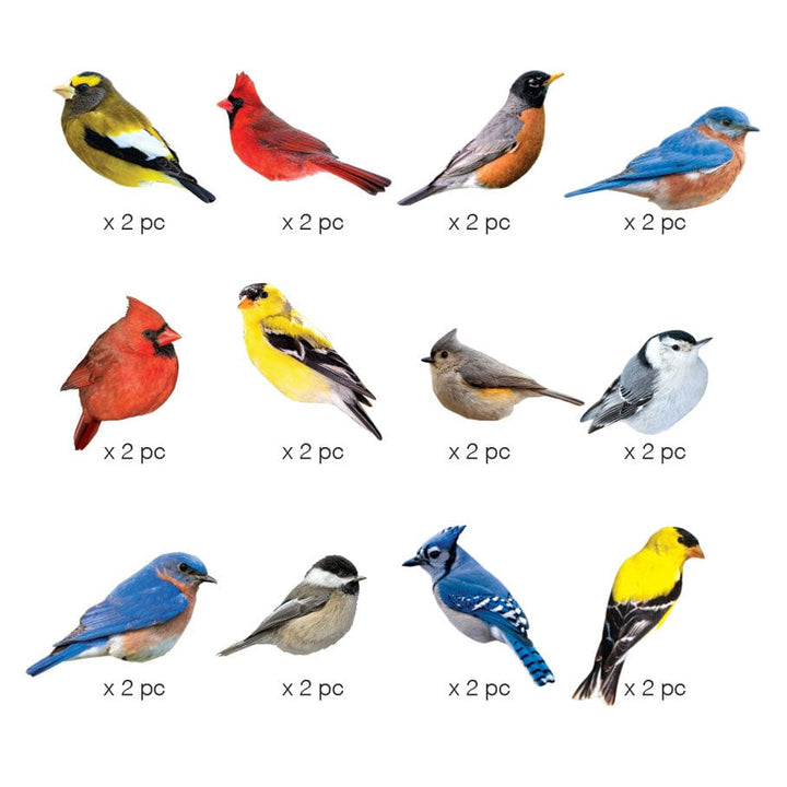 STDC-3016E - Die Cut Scrapbook Sticker Pack - Birds - Twelve colorful bird stickers in various species, each labeled "x 2 pc," arranged in three rows on a white background