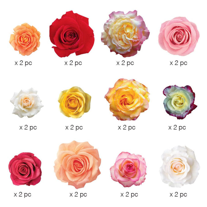 STDC-3018E - Die Cut Scrapbook Sticker Pack - Roses - Twelve die-cut rose stickers in various colors including red, pink, yellow, orange, white, and multicolor varieties, each labeled "x 2 pc."