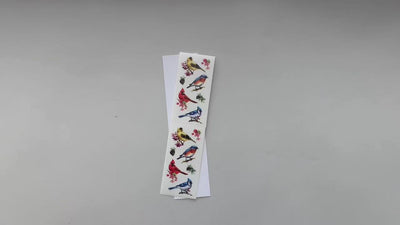 Female hands pick up and show in detail stickers featuring colorful watercolor birds.