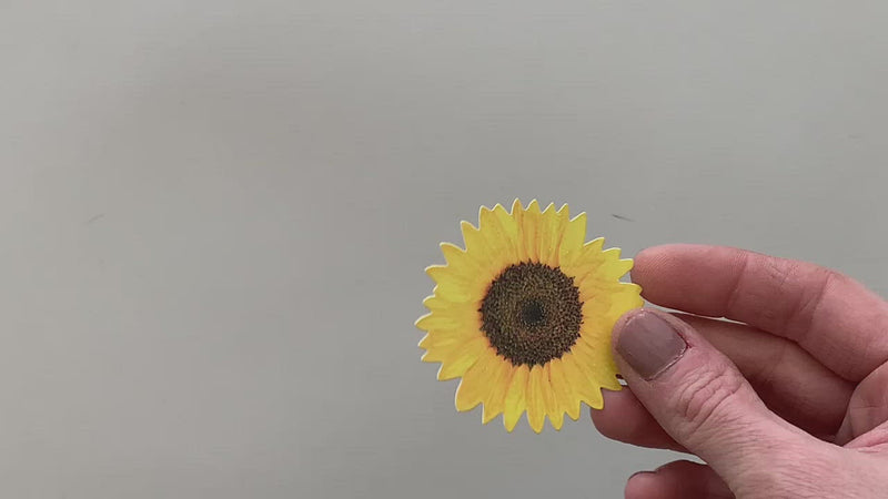 video of hand scattering photo real die cut scrapbook stickers of yellow sunflowers on to a gray background.