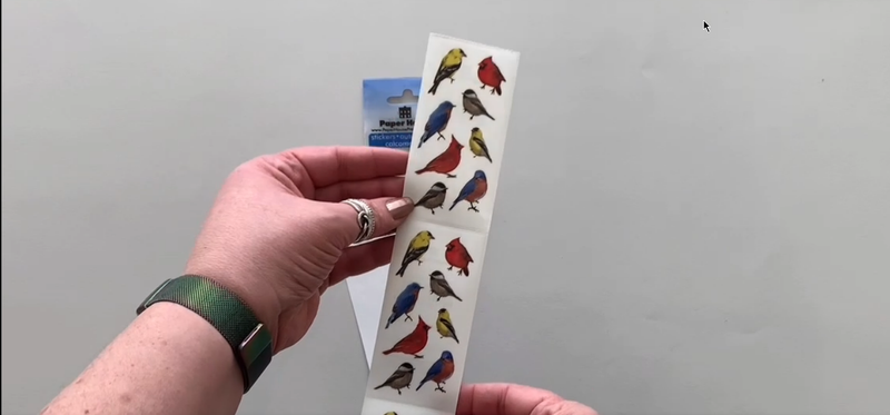 Female hands pick up and show in detail stickers featuring colorful photo real birds.