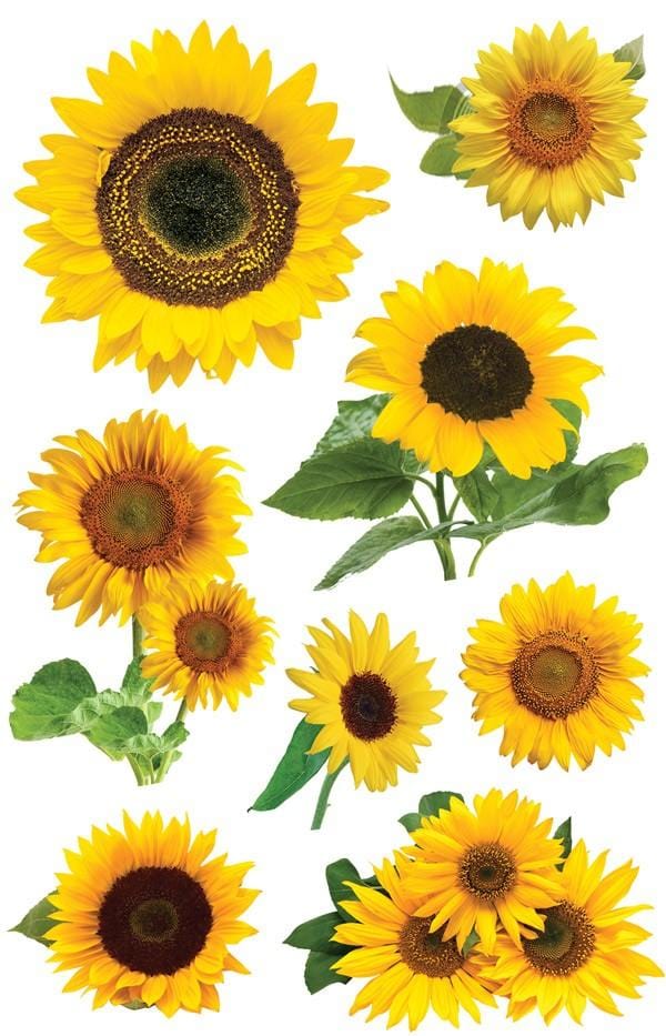 3D scrapbook stickers featuring photo real yellow sunflowers