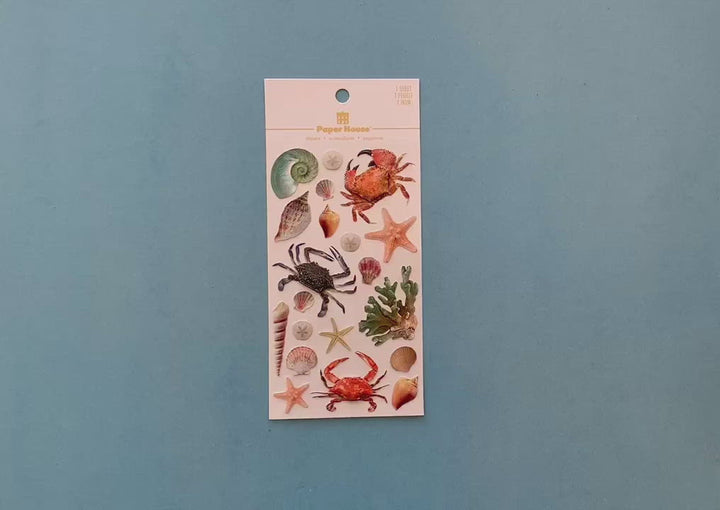 female hands display a sheet  of 3D scrapbook stickers featuring a variety of photoreal sea shells, starfish, crabs, and coral.