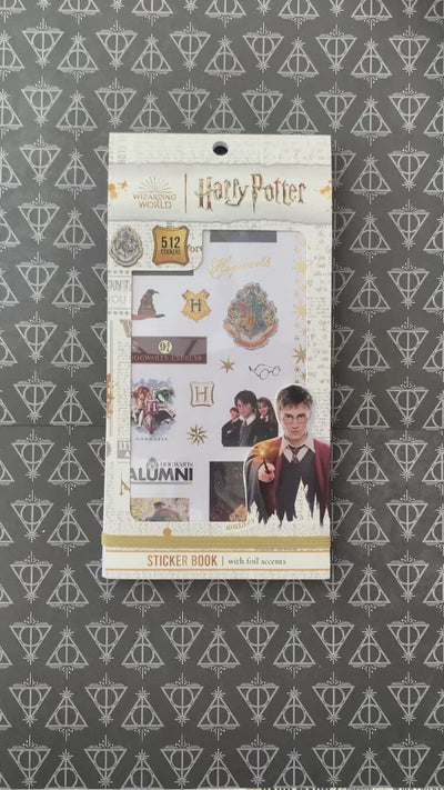 Video showing Harry Potter planner stickers in detail, including a flip through each of the pages of the book.